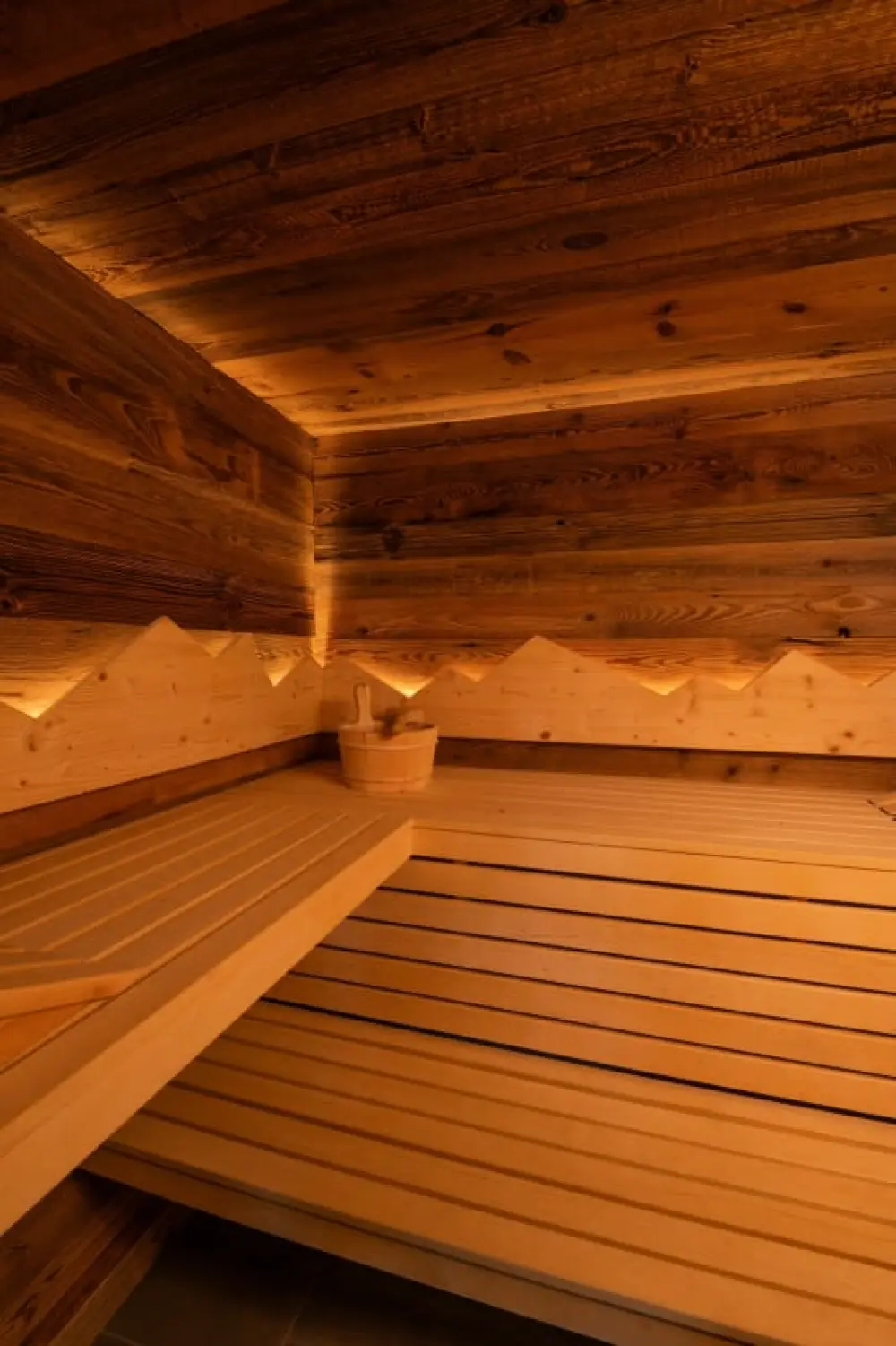 Le Refuge Des 3 Oursons - 14 Pers. - Spa De Nage +