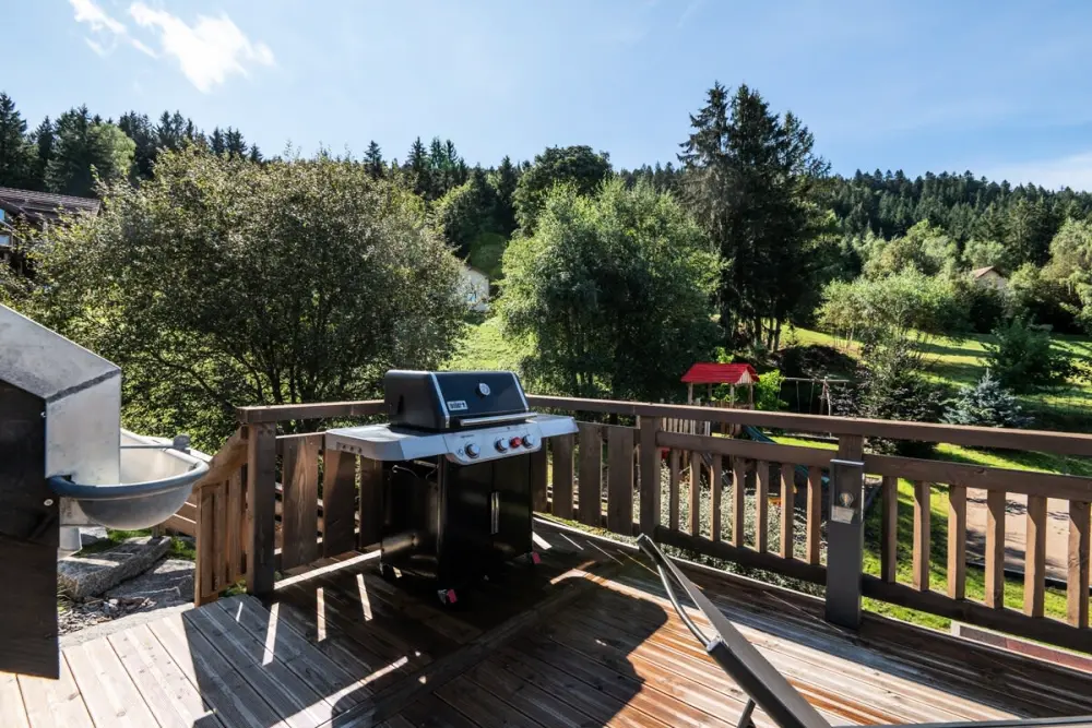 Le Refuge Des 3 Oursons - 14 Pers. - Spa De Nage +