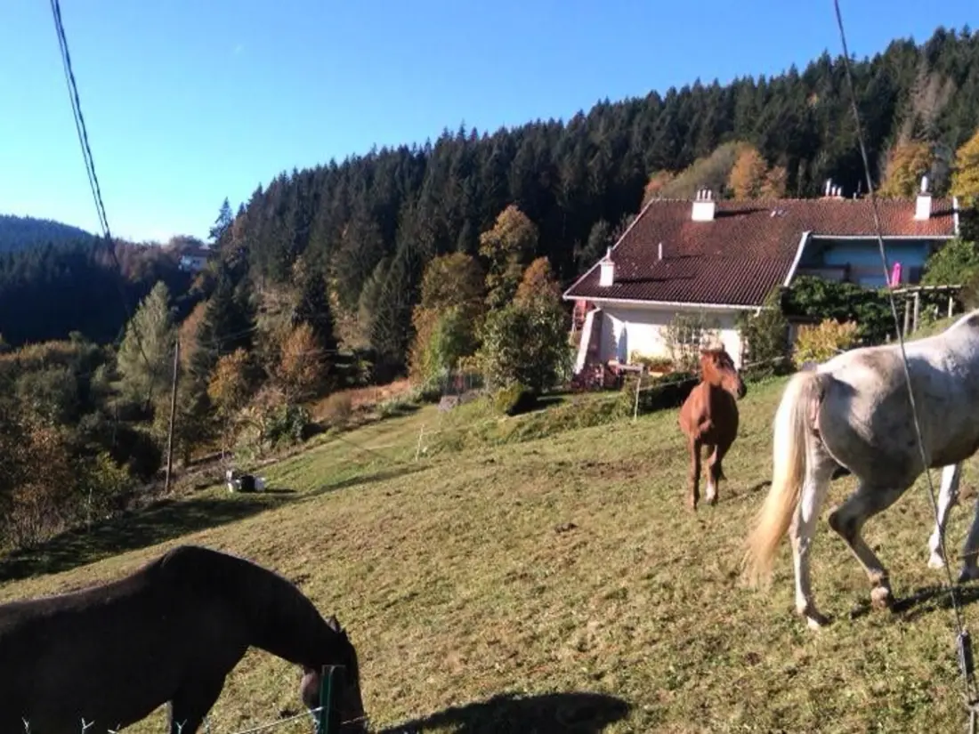 Maison de Vacances GERARDMER 21