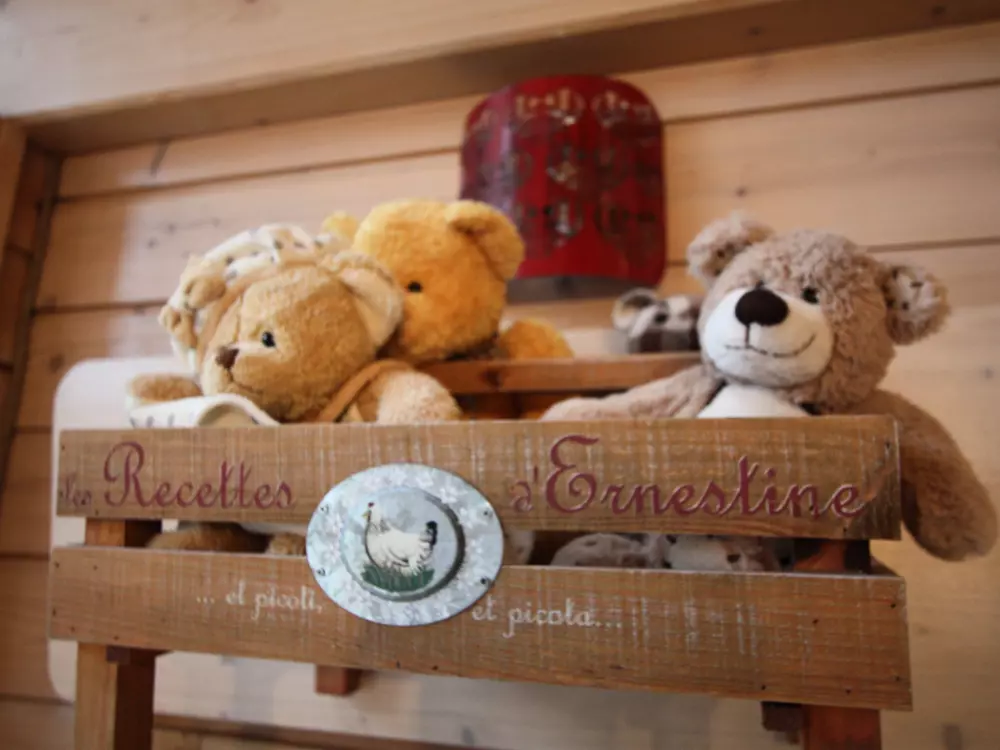 Maison de Vacances GERARDMER 25