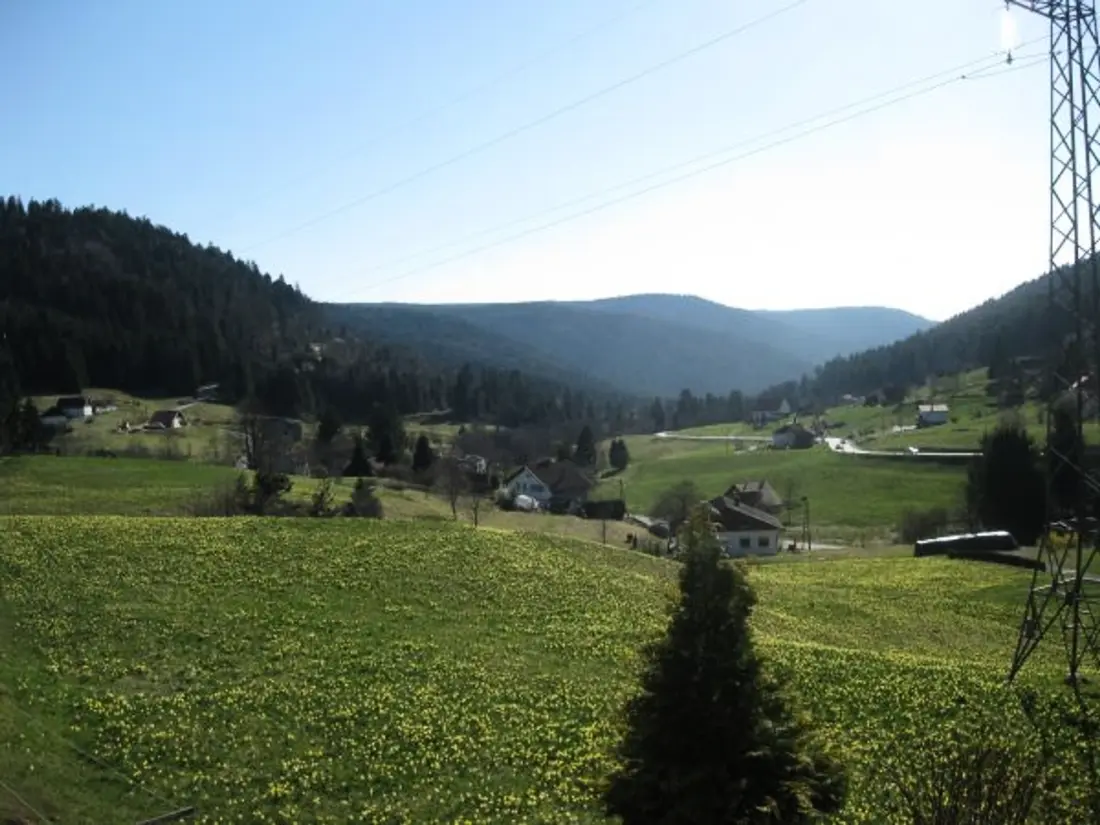 Maison de Vacances GERARDMER 5
