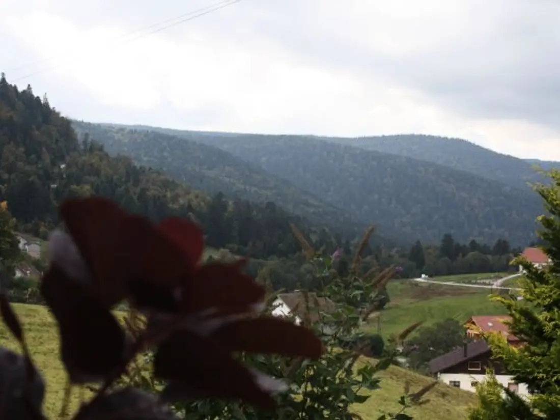 Maison de Vacances GERARDMER 5
