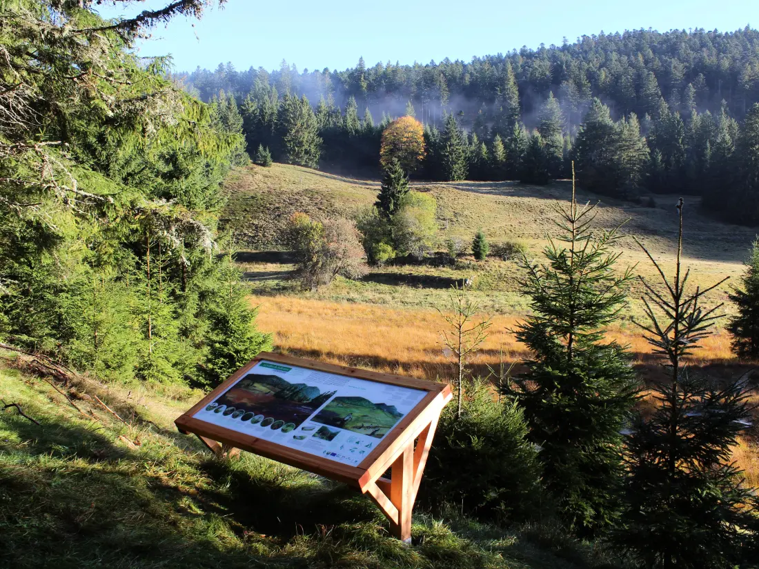 Maison de Vacances GERARDMER 5