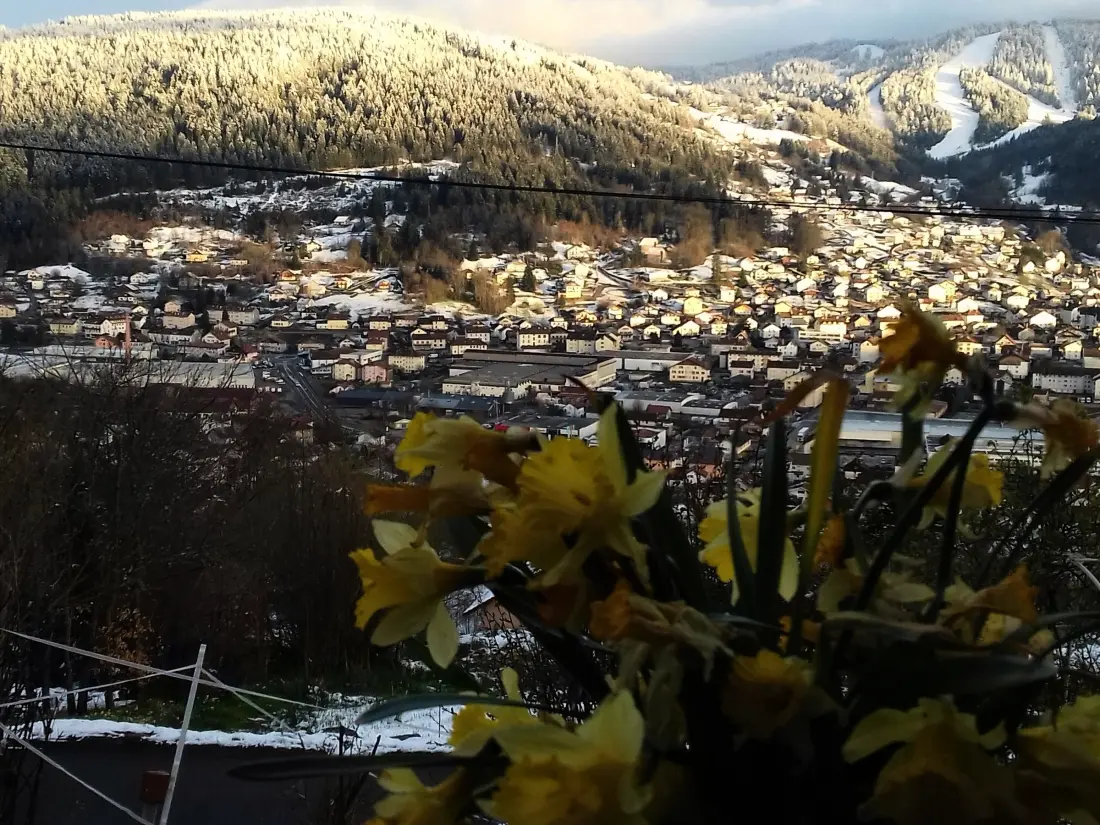 Maison de Vacances GERARDMER 50