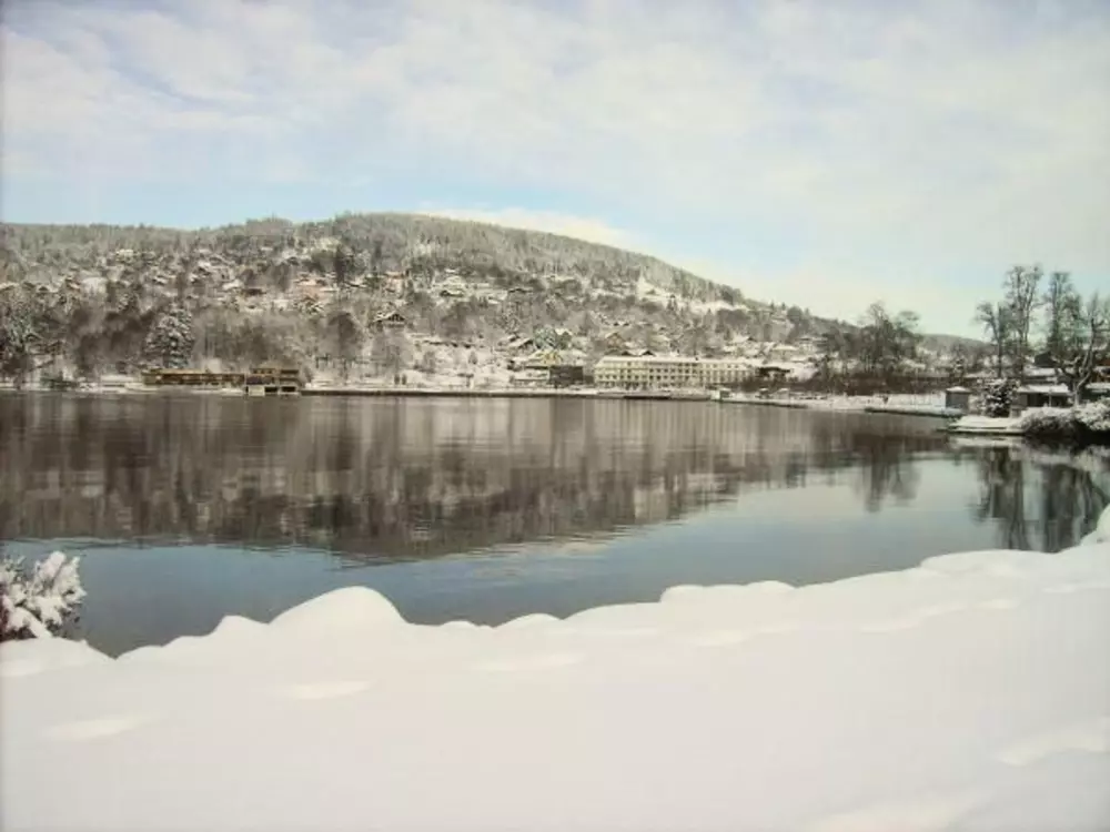 Maison de Vacances GERARDMER 50