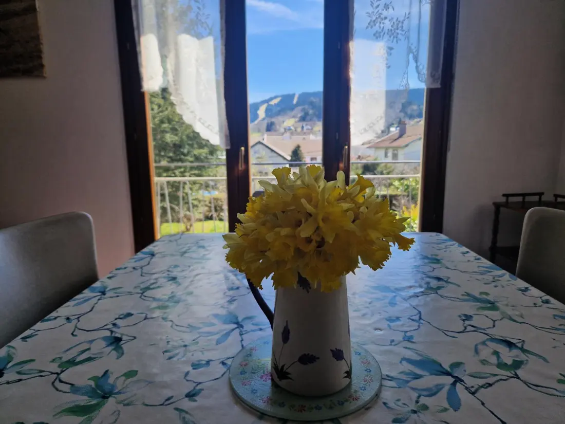Maison de Vacances GERARDMER 77