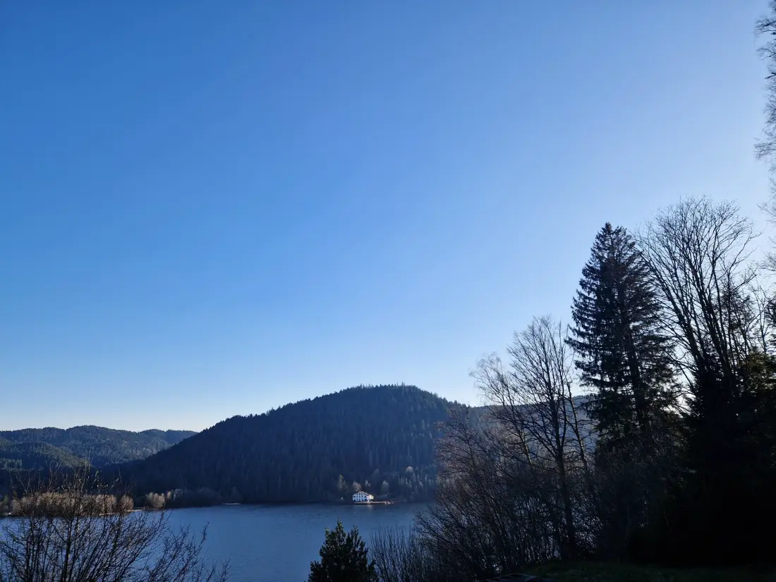 Maison de Vacances GERARDMER 77