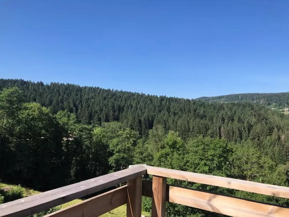 Maison de Vacances GERARDMER 78