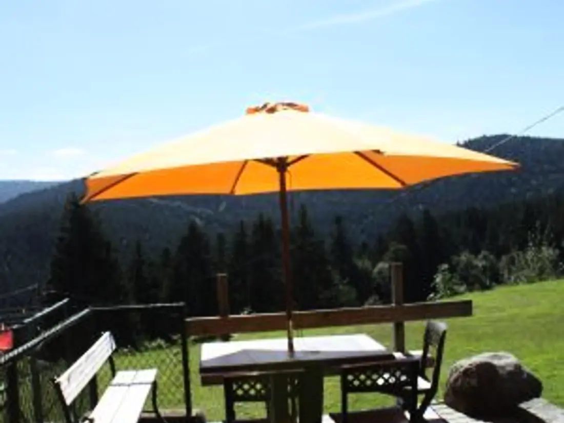 Maison de Vacances GERARDMER 8