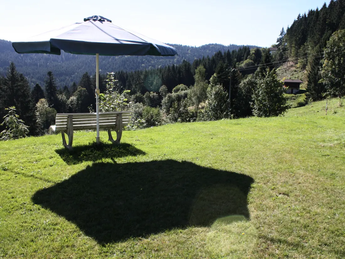 Maison de Vacances GERARDMER 8