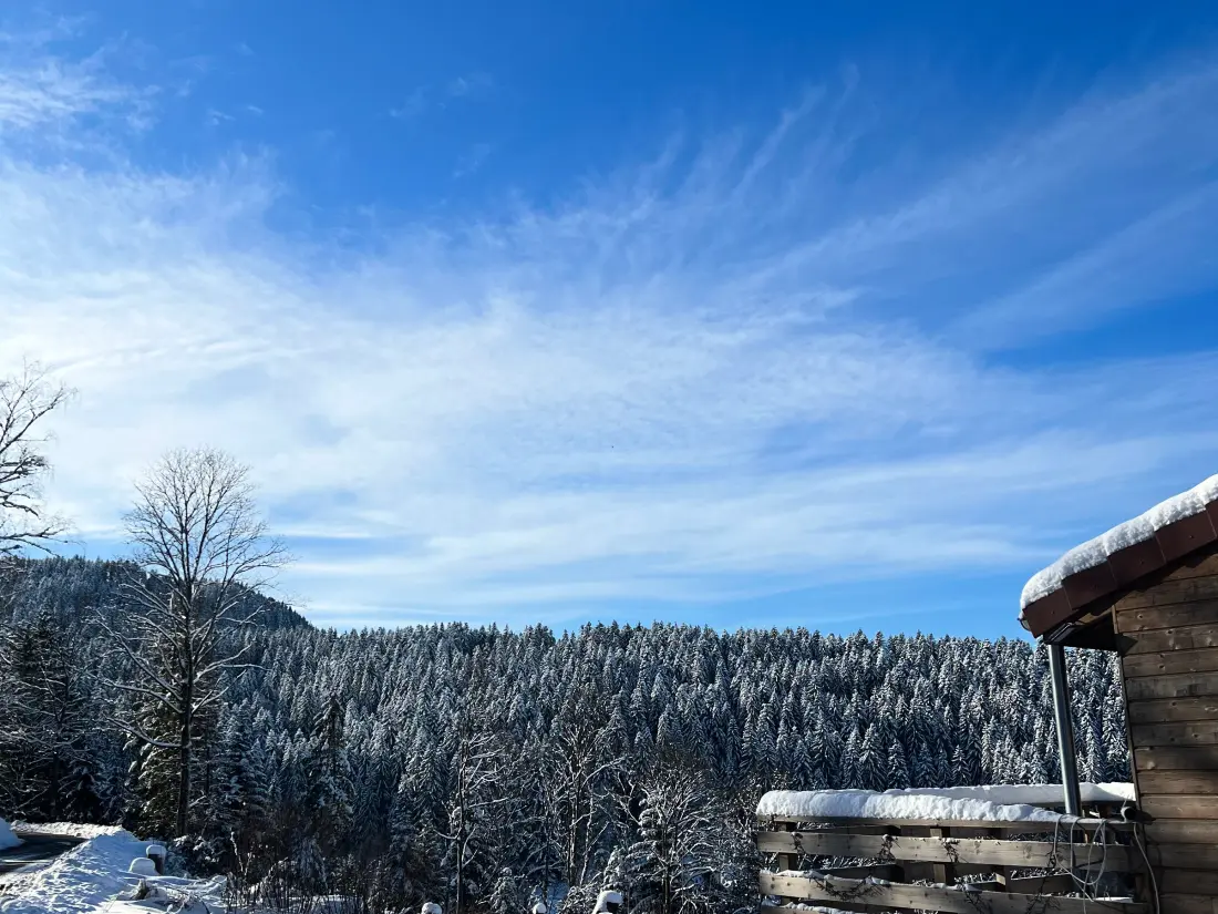 Maison de Vacances GERARDMER 84