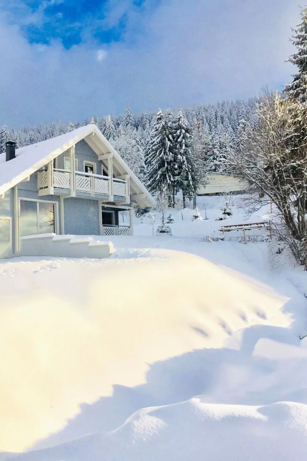 Maison de Vacances Gerardmer