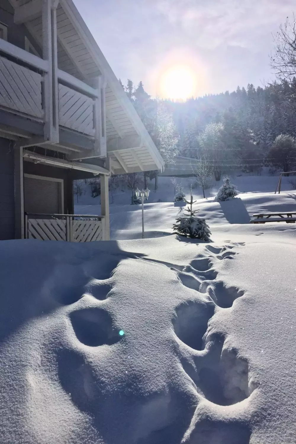 Maison de Vacances Gerardmer