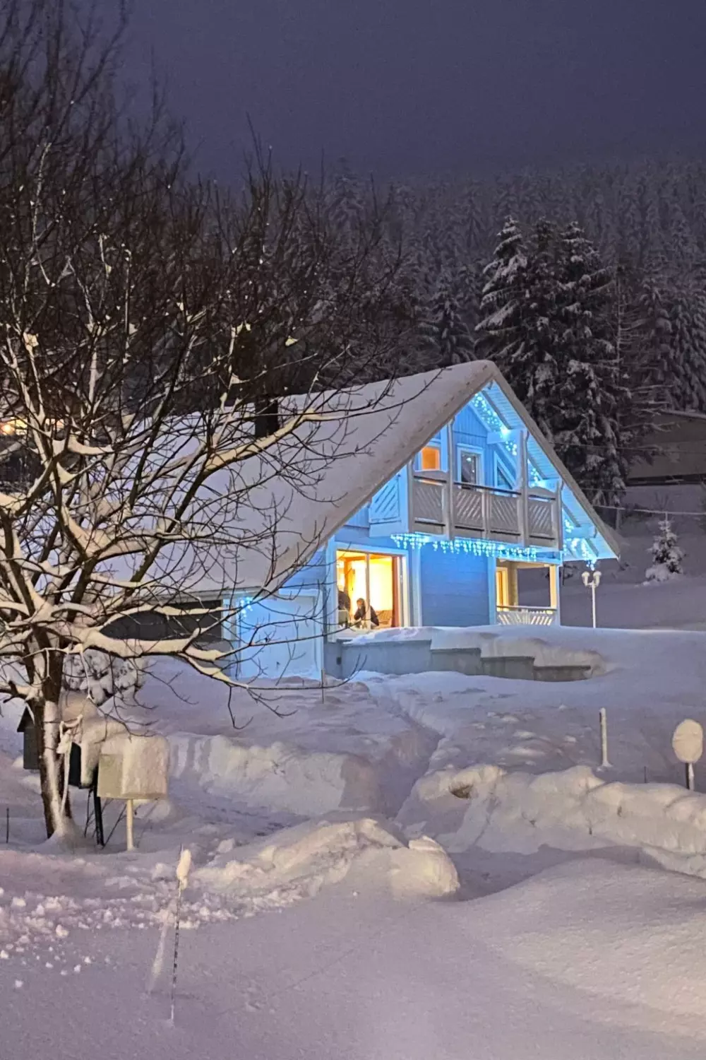 Maison de Vacances Gerardmer