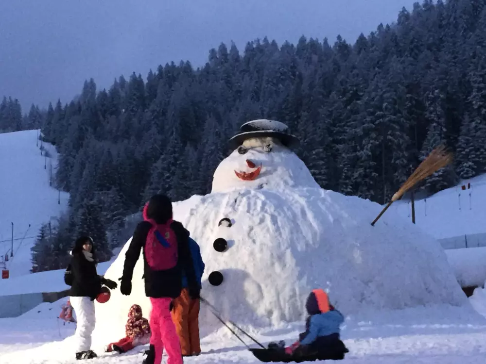 Maison de Vacances Gerardmer