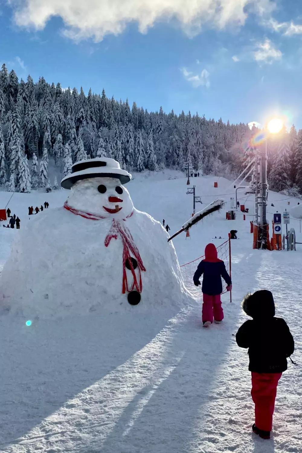 Maison de Vacances Gerardmer