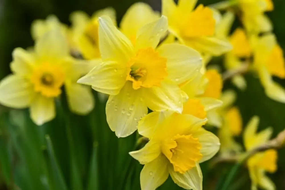 Maison Spacieuse Avec Terrasse, Proche Du Lac