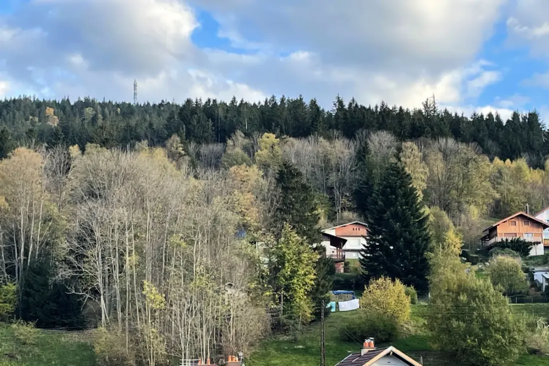 Lumineux Nid Avec Vue Sur La Montagne à Gérardmer