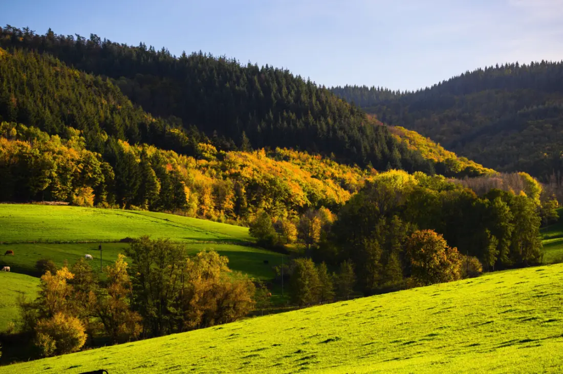 Camping Donnersberg
