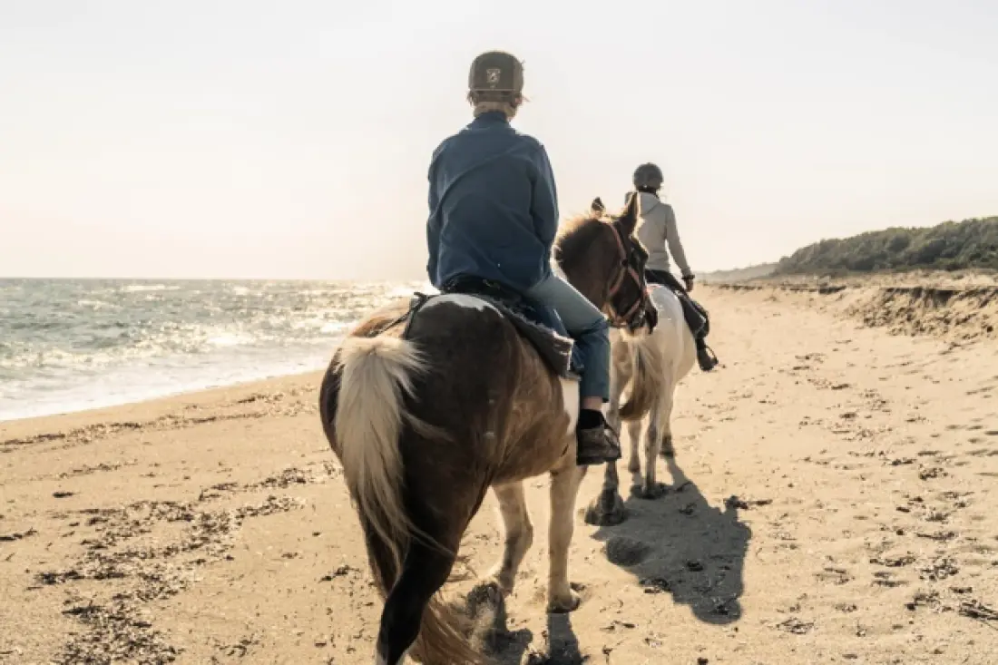 Camping U Casone3 étoiles★★★