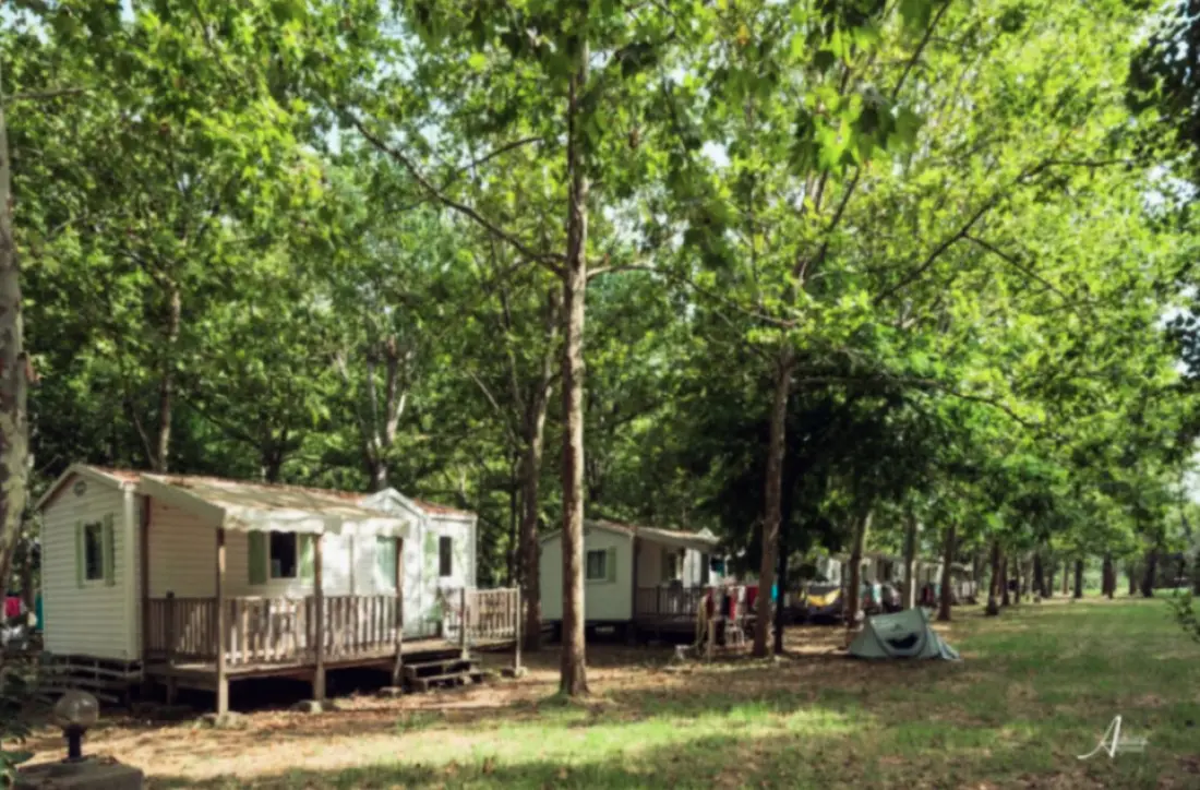 Camping U Casone3 étoiles★★★