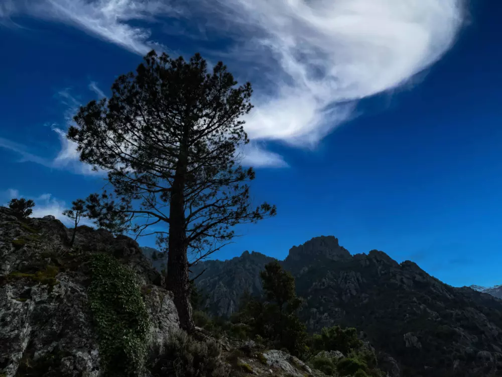 Maison de Vacances Ghisonaccia