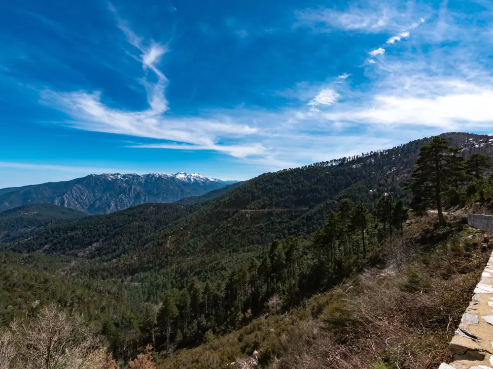 Maison de Vacances Ghisonaccia