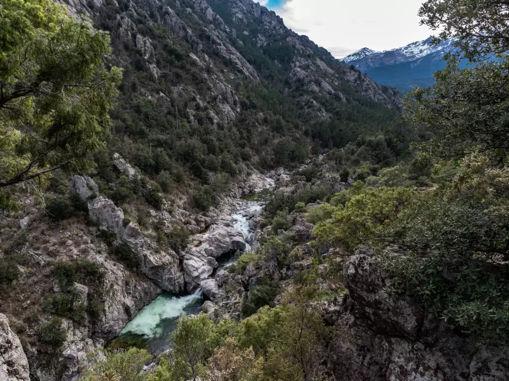 Maison de Vacances Ghisonaccia