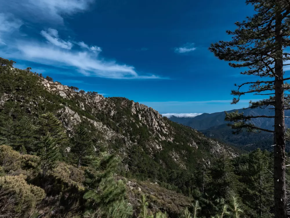 Maison de Vacances Ghisonaccia