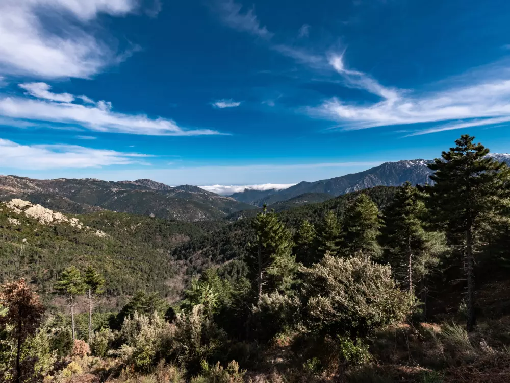 Maison de Vacances Ghisonaccia