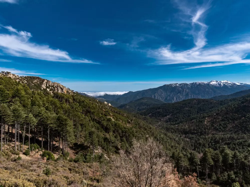 Maison de Vacances Ghisonaccia