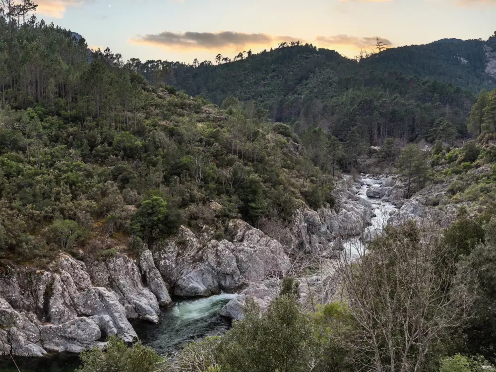 Maison de Vacances Ghisonaccia
