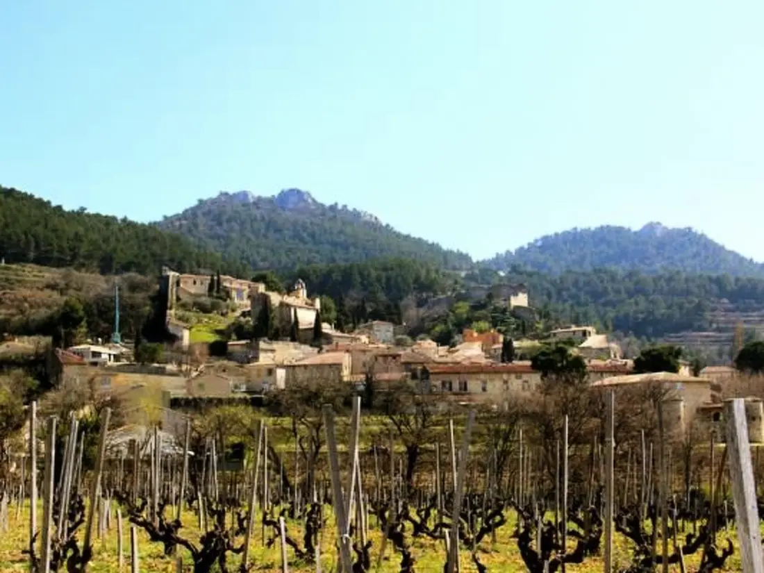 Maison de Vacances Gigondas