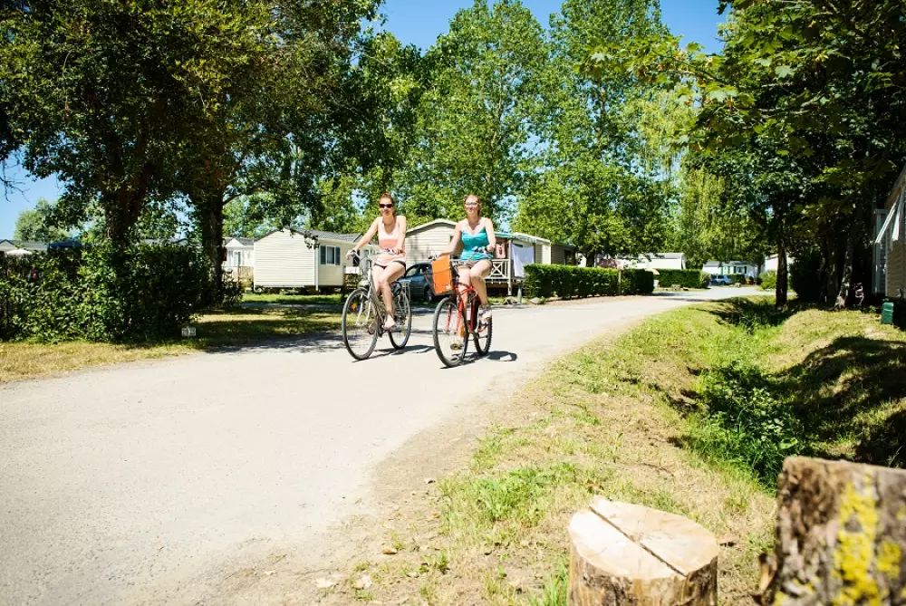 Camping Le Domaine de Beaulieu 41 étoiles★