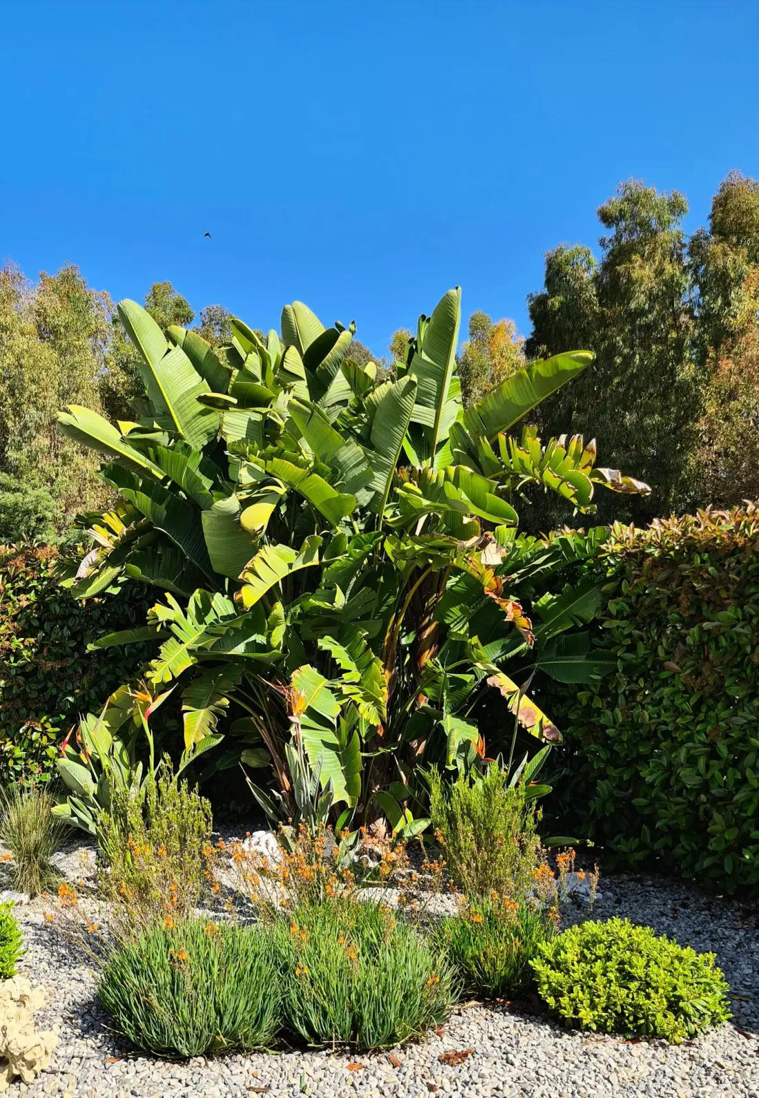 Résidence Domaine De Puissanton