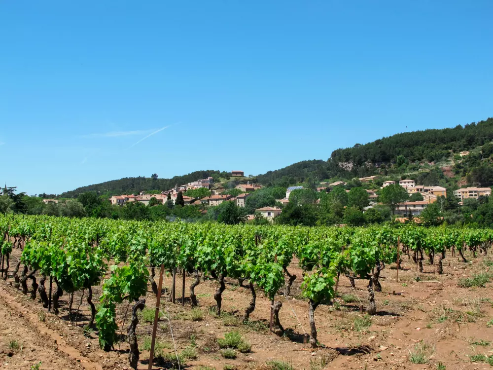 Maison de Vacances Gonfaron