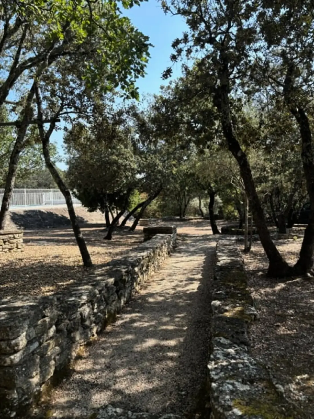"les Campanettes" : Superbe Mas En Provence