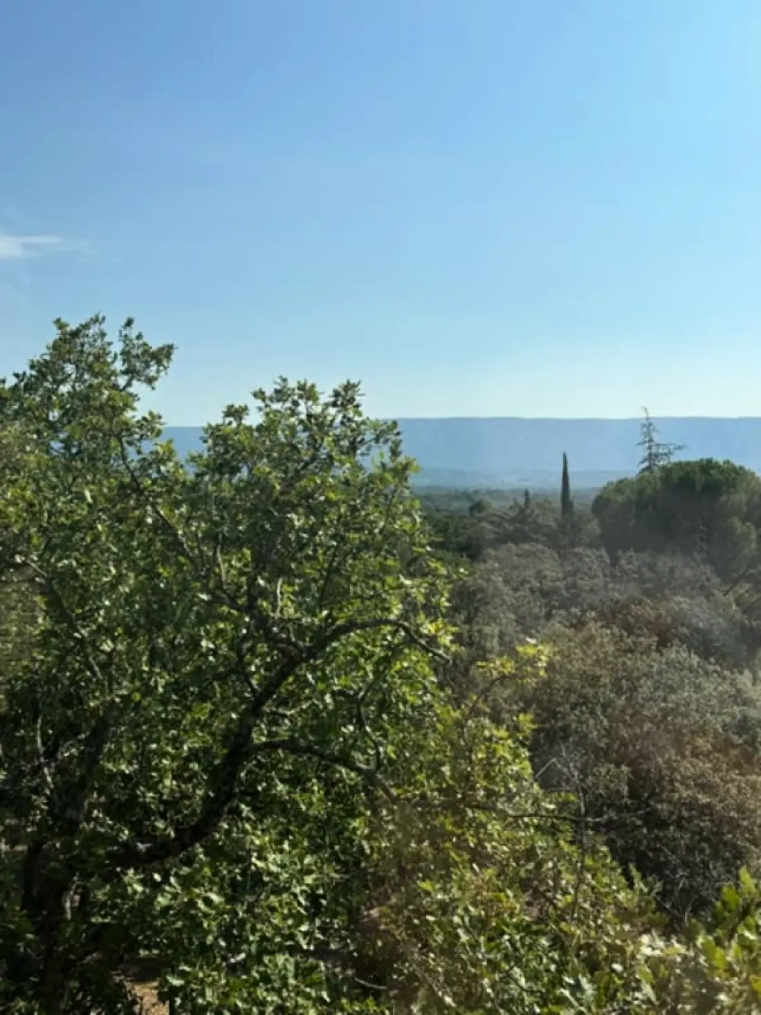 "les Campanettes" : Superbe Mas En Provence