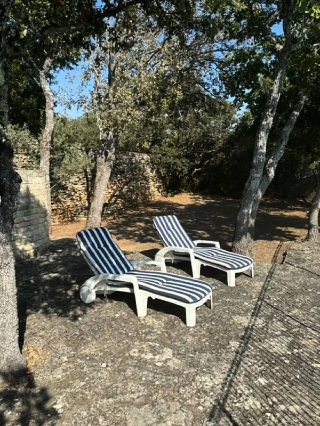 "les Campanettes" : Superbe Mas En Provence