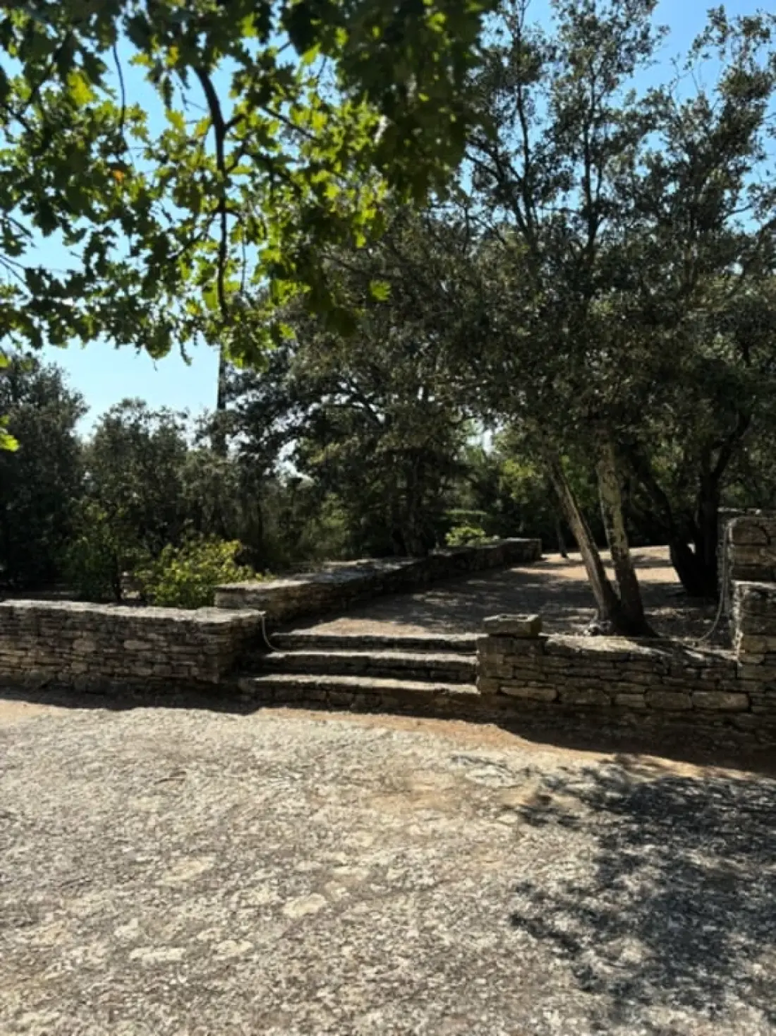 "les Campanettes" : Superbe Mas En Provence