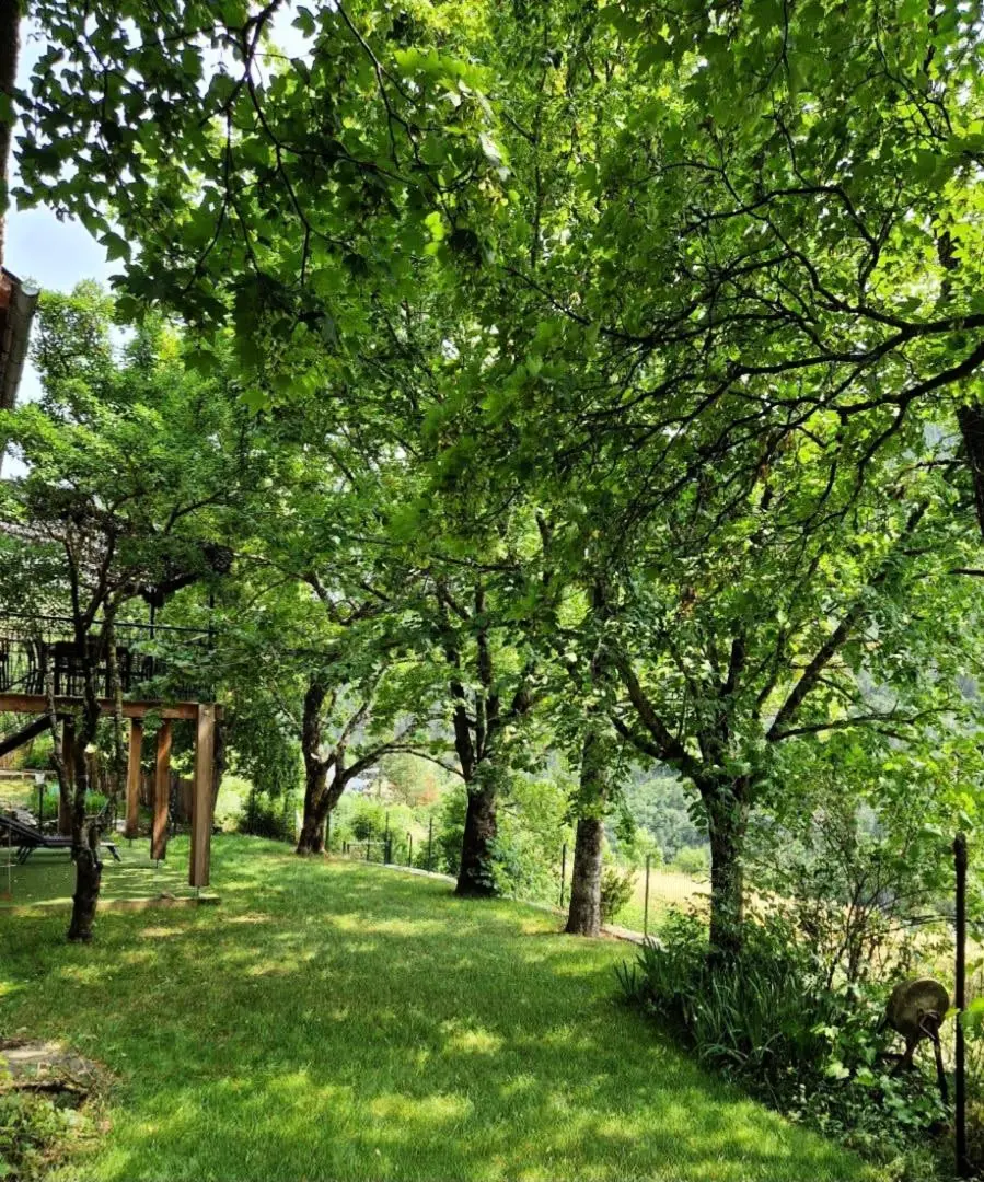 Gîte Le gîte d'alfred 3 étoiles