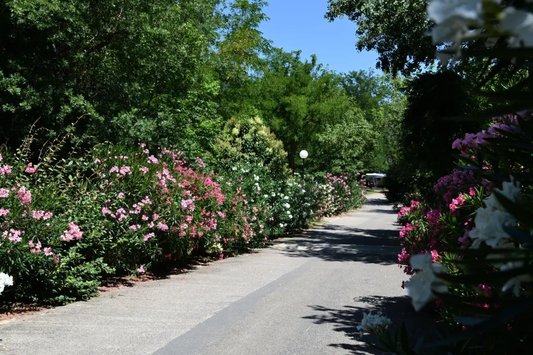 Flower Camping Le Saint Michelet 4 étoiles★★★★