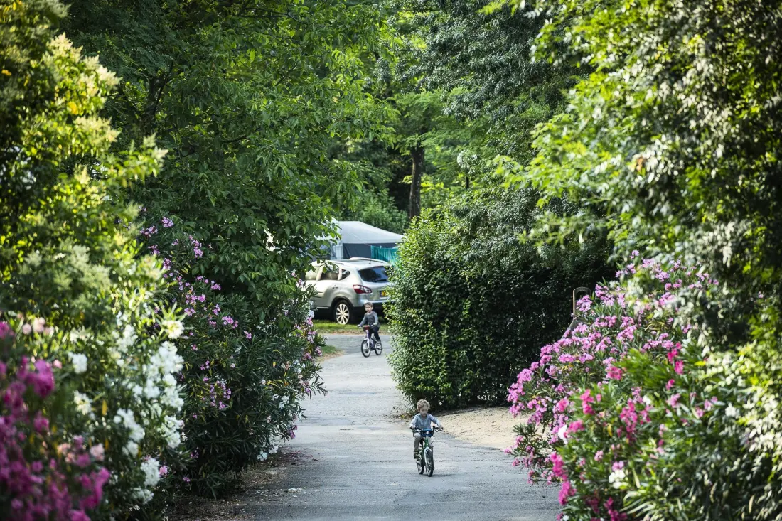 Flower Camping Le Saint Michelet 4 étoiles★★★★
