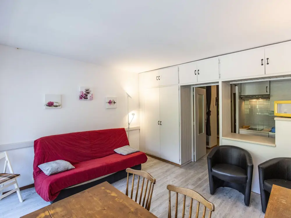 Location de Vacances Gourette 196