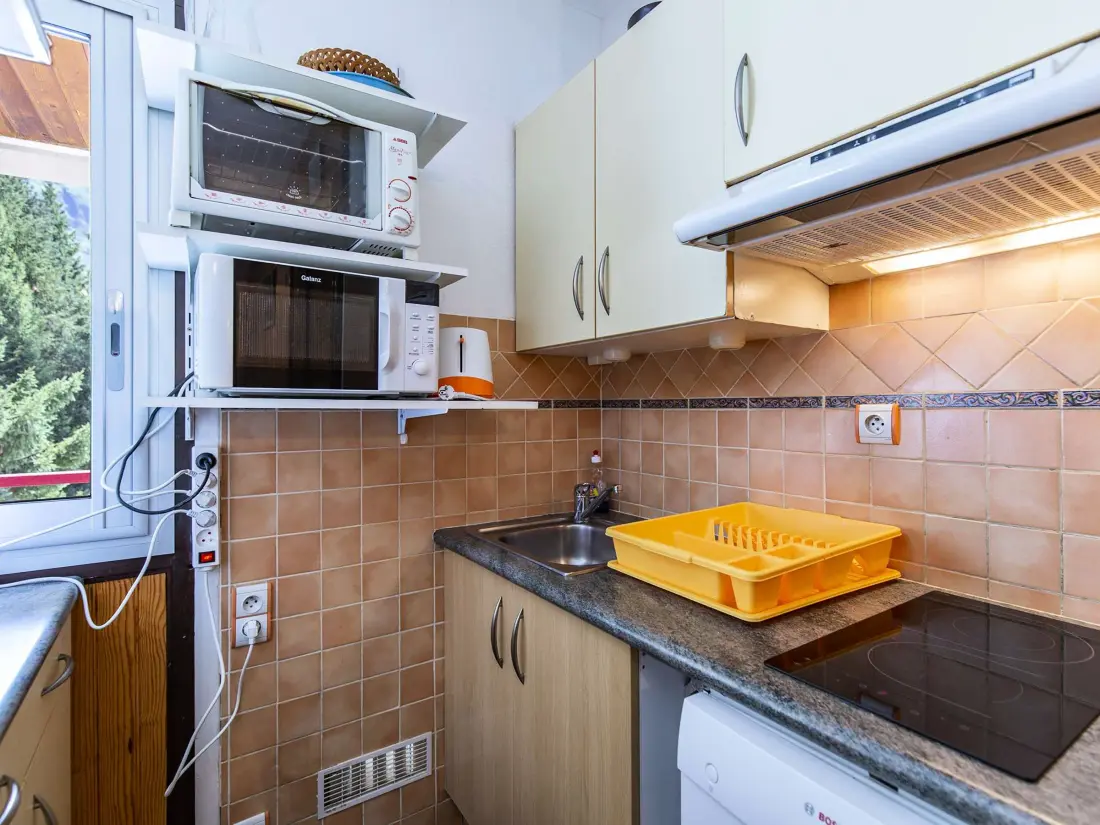 Location de Vacances Gourette 208