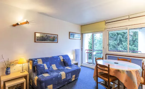 Location de Vacances Gourette 212