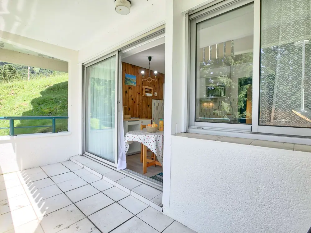 Location de Vacances Gourette 270