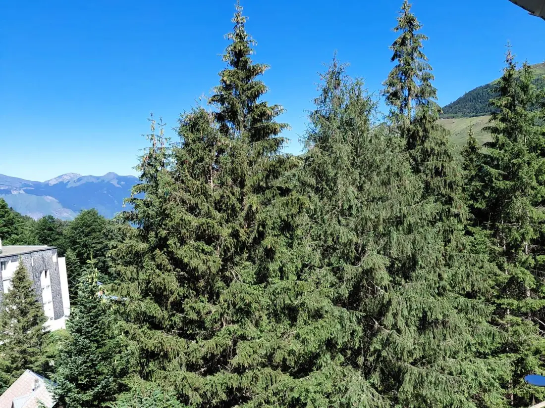Location de Vacances Gourette 282