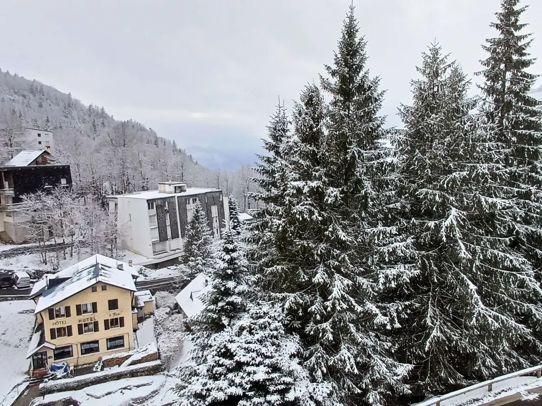 Location de Vacances Gourette 282