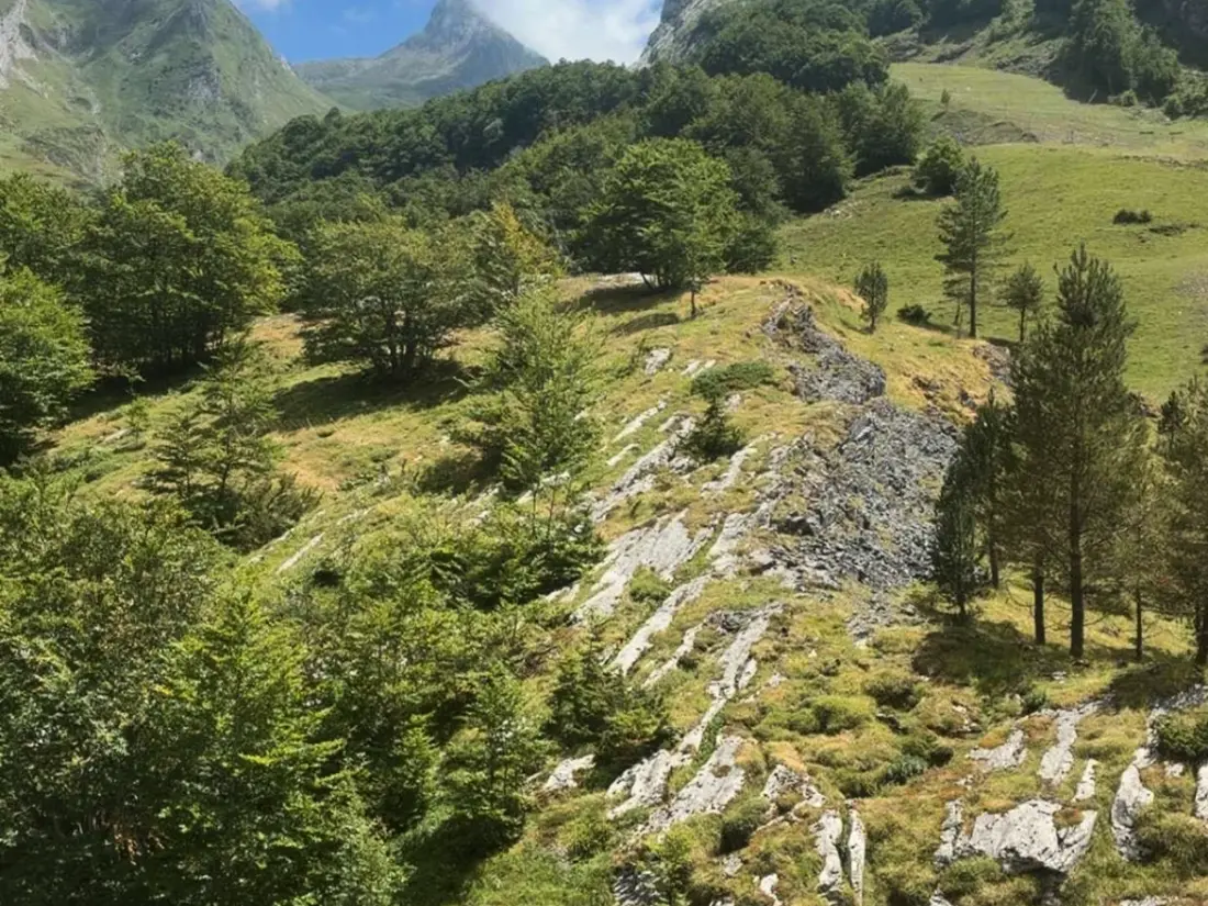 Location de Vacances Gourette 282